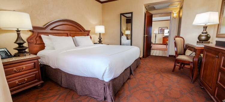 湖上度假酒店及会议中心(Chateau on the Lake Resort Spa and Convention Center)图片