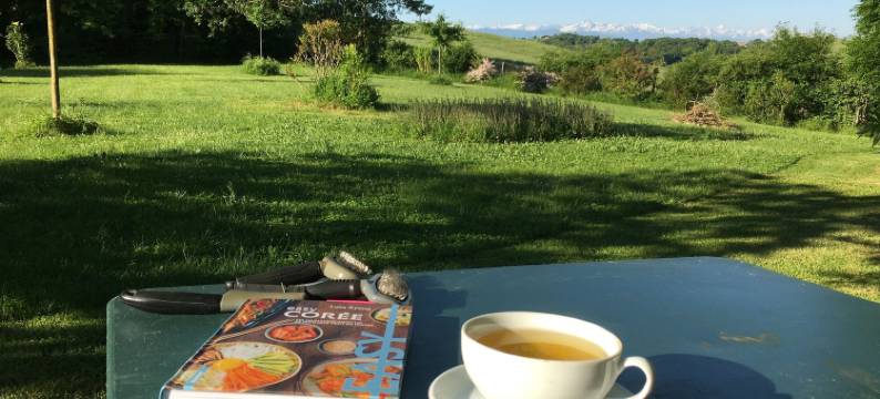 马卡拉(Macara)图片