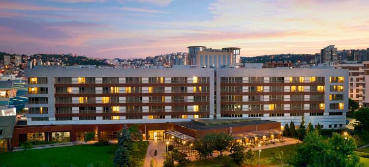 特拉布宗诺富特酒店(Novotel Trabzon)图片