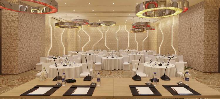 金奈OMR 诺富特酒店(Novotel Chennai OMR)图片