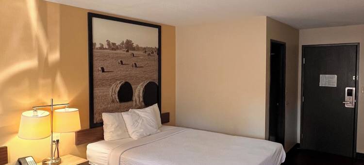 拉德克利夫诺克斯堡地区温德姆速8酒店(Super 8 by Wyndham Radcliff Ft. Knox Area)图片