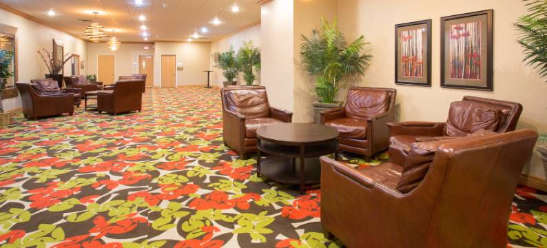 智选假日套房酒店列克星敦(Holiday Inn Express & Suites LEXINGTON by IHG)图片