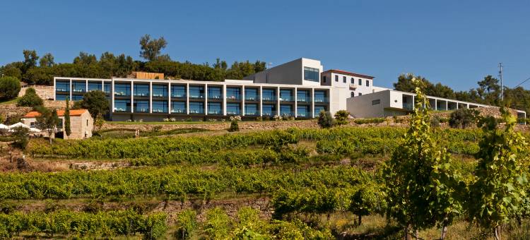 杜罗宫水疗度假村酒店(Douro Palace Hotel Resort & Spa)图片