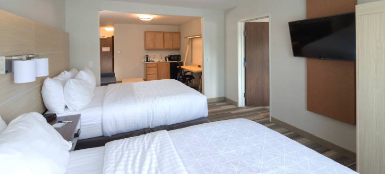 智选假日套房酒店门罗东 by IHG(Holiday Inn Express & Suites Monroe by IHG)图片