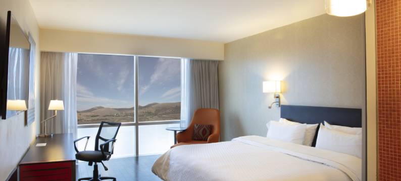 萨卡特卡斯嘉年华旅馆(Fiesta Inn Zacatecas)图片