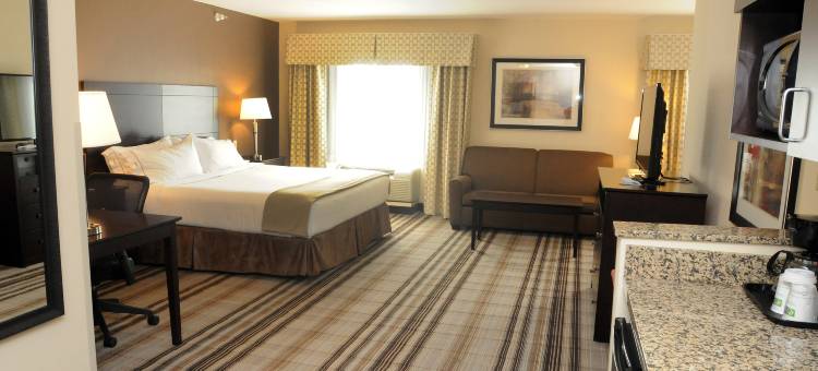 剑桥智选假日套房酒店(Holiday Inn Express & Suites Cambridge)图片