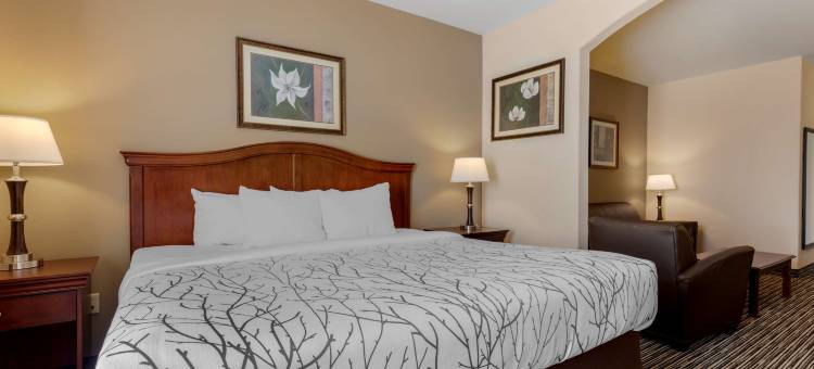 斯威特沃特贝斯特韦斯特优质套房酒店(Best Western Plus Sweetwater Inn  Suites)图片