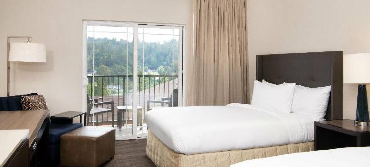 圣塔克鲁兹-斯科茨谷希尔顿酒店(Hilton Santa Cruz/Scotts Valley)图片