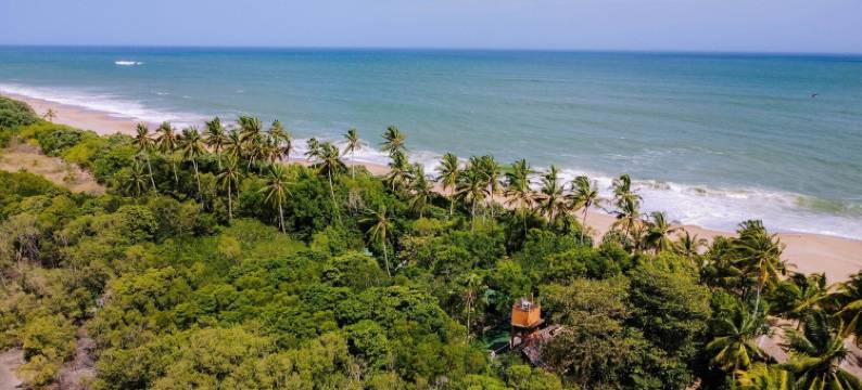 海浪海滩木屋(The Waves Beach Chalets)图片