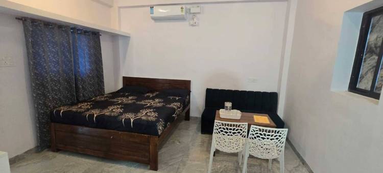 阿拉夫宫酒店(Hotel Aarav Palace)图片