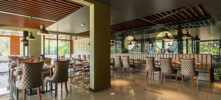 斯特灵阿蒂拉皮里(Sterling Athirappilly)图片