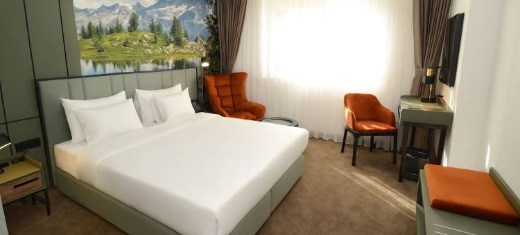 亚历山大会议及水疗酒店(Hotel Aleksandar conference & spa)图片