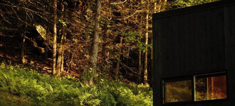 奥扎克高地的明信片小屋，万豪旅享家户外系列(Postcard Cabins Ozark Highlands)图片
