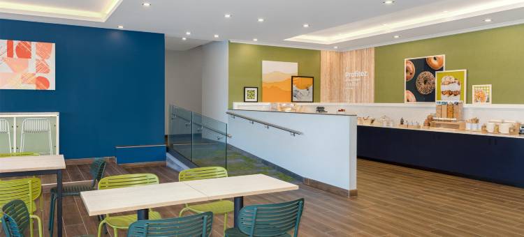 蒙特利尔中城区希尔顿Spark酒店(Spark by Hilton Montreal Midtown)图片