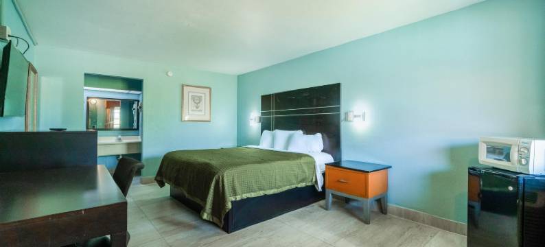 OYO 哈灵根德克萨斯州孤星旅馆及套房(Lone Star Inn & Suites by OYO Harlingen TX)图片