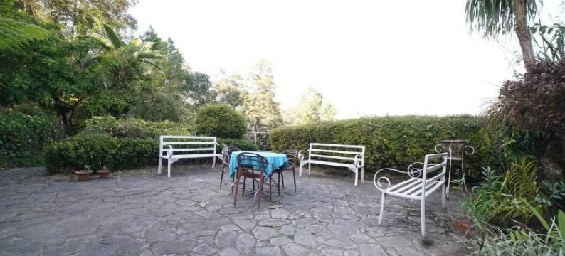 竹隐酒店(Bamboo Retreat Hotel)图片