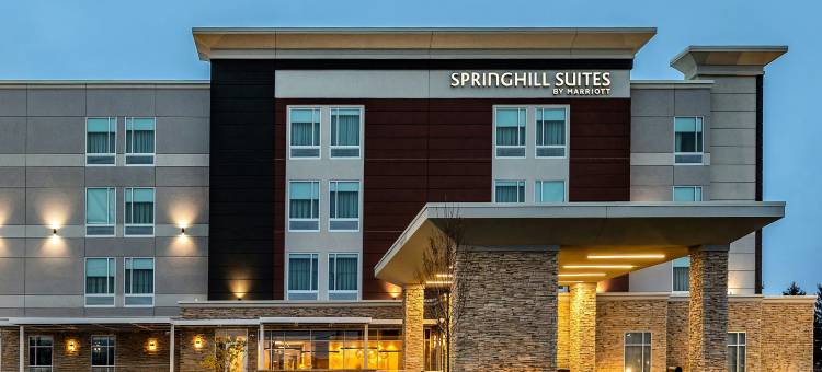 哥伦布西SpringHill Suites万豪酒店(SpringHill Suites by Marriott Columbus West)图片