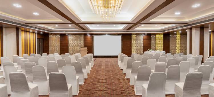 哥打丽怡酒店(Country Inn & Suites by Radisson Kota)图片