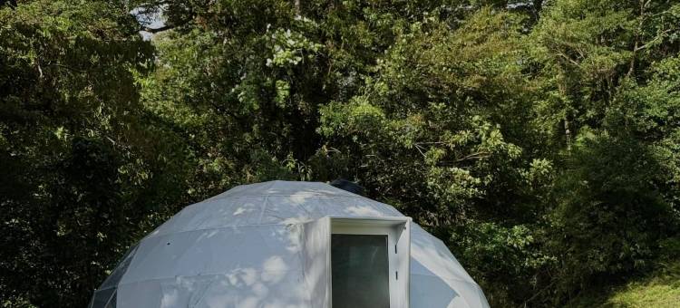 埃皮菲塔蒙特贝尔德帐篷酒店(Epifita, Bosque Nuboso Glamping Monteverde)图片