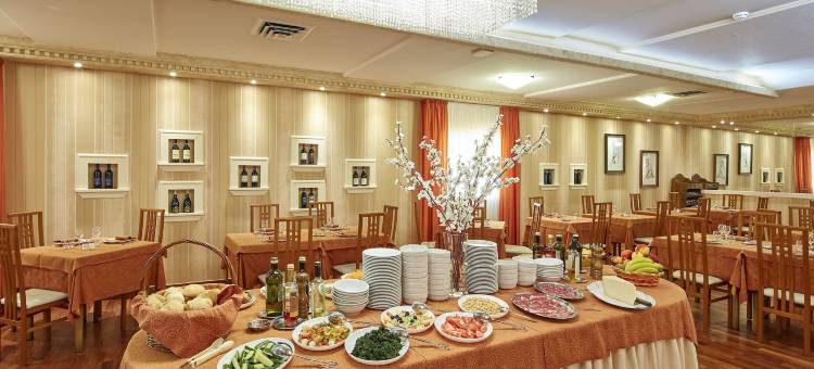 普拉扎酒店(Hotel Plaza)图片