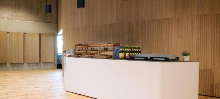 丽笙红因斯布鲁克酒店(Radisson Red Innsbruck)图片