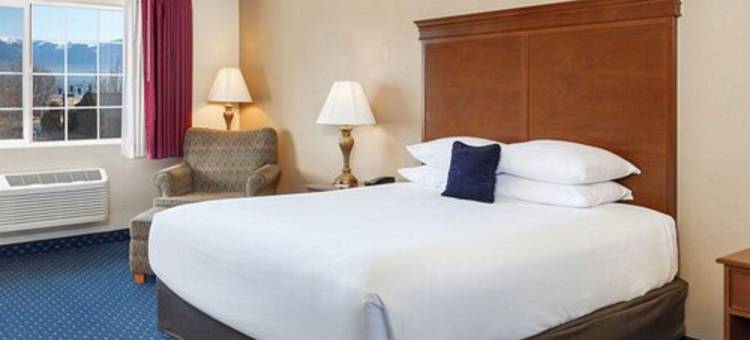 舒适酒店及套房苏珊维尔(Comfort Inn & Suites)图片