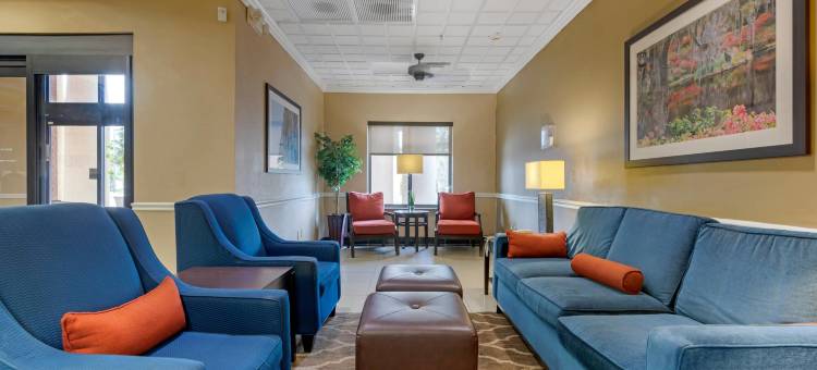 萨凡纳北舒适套房酒店(Comfort Suites Savannah North)图片