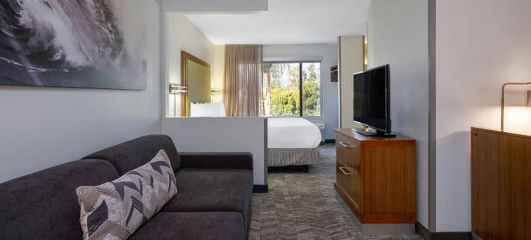 帕莎蒂娜阿卡迪亚万豪SpringHill酒店(SpringHill Suites Pasadena Arcadia)图片