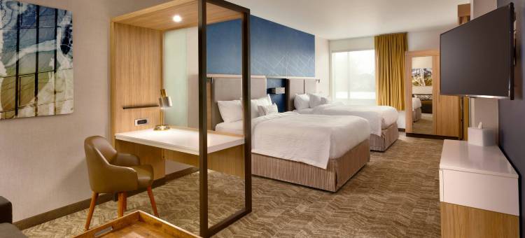 科拉尔维尔SpringHill Suites酒店(SpringHill Suites Coralville)图片