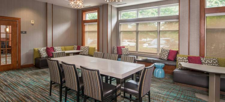 切萨皮克格林布赖尔居家酒店(Residence Inn Chesapeake Greenbrier)图片