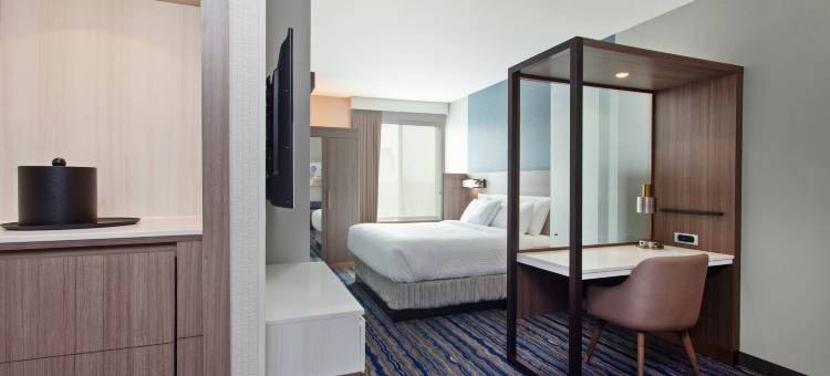 奥兰治县亨廷顿海滩SpringHill Suites酒店(SpringHill Suites Huntington Beach Orange County)图片