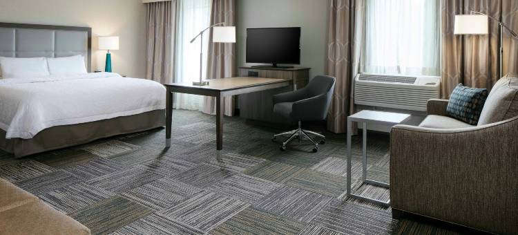 哈德森威斯康辛欢朋套房酒店(Hampton Inn and Suites Hudson)图片