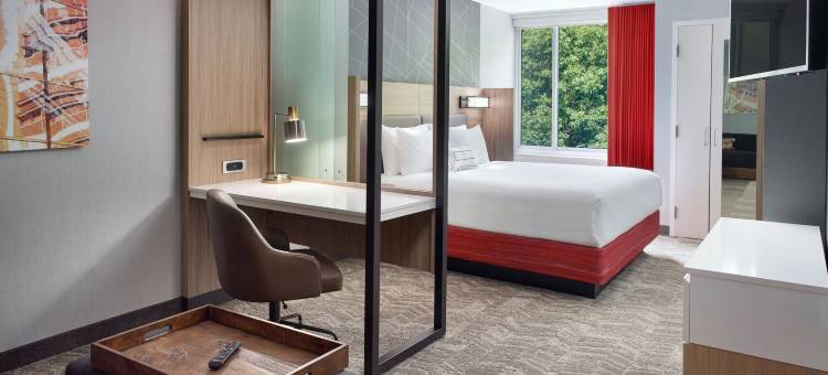 亚特兰大西北SpringHill Suites酒店(SpringHill Suites Atlanta Northwest)图片