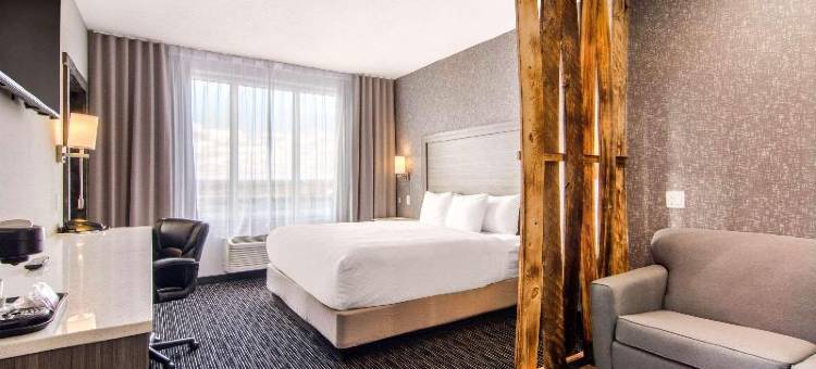 舒适套房酒店(Comfort Inn & Suites)图片