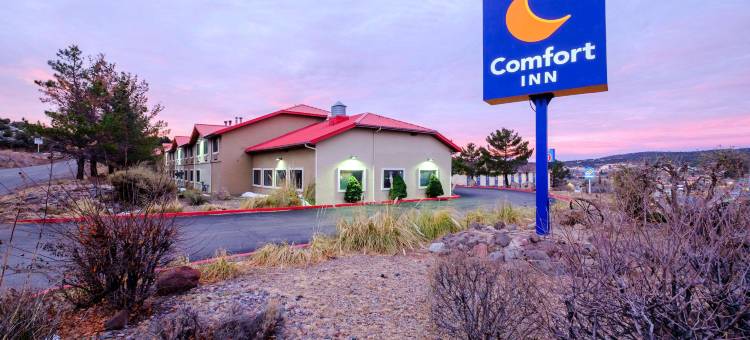 吉拉国家森林公园附近舒适酒店(Comfort Inn Near Gila National Forest)图片
