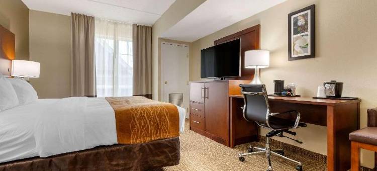 舒适套房酒店(Comfort Inn & Suites)图片