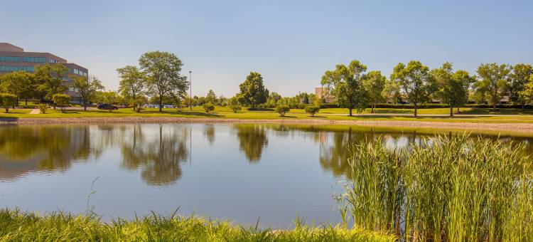 芝加哥埃尔克格罗夫喜来登套房酒店(Sheraton Suites Chicago Elk Grove)图片
