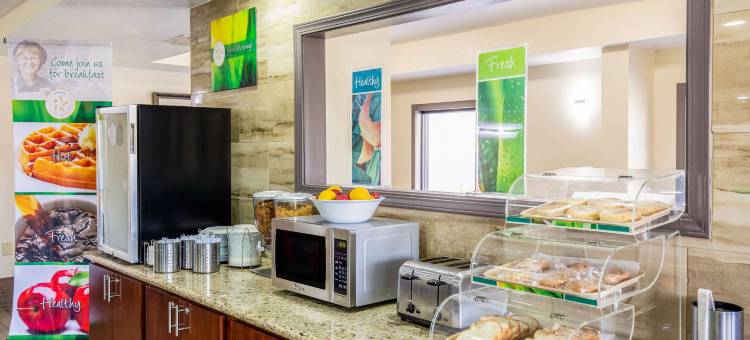 莫比尔西提尔曼角凯艺酒店(Quality Inn Mobile West Tillmans Corner)图片