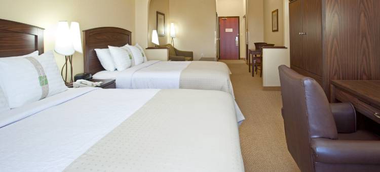 丹佛E-470/帕克尔路假日酒店(Holiday Inn Denver-Parker-E470/Parker RD)图片