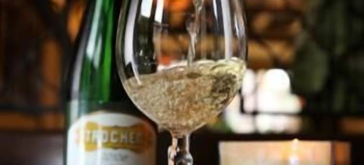 维恩豪斯格列伯餐厅酒店(Hotel-Restaurant Weinhaus Grebel)图片