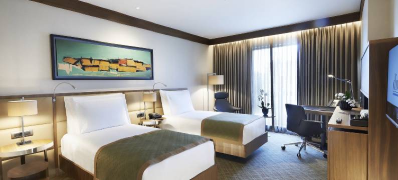 阿达那迪万酒店(Divan Adana)图片