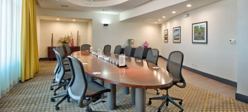 Holiday Inn 达拉斯 - 沃斯堡机场S(Holiday Inn DFW AIRPORT SOUTH by IHG)图片