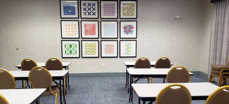 圣安吉洛智选假日酒店(Holiday Inn Express & Suites San Angelo)图片