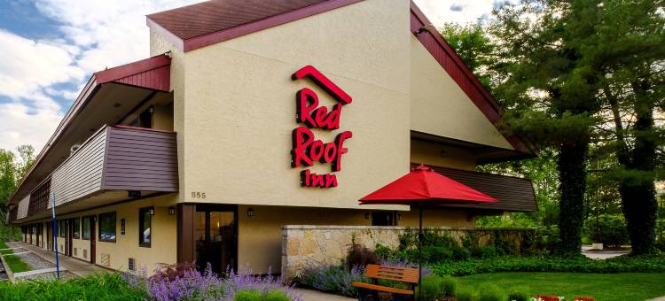 红顶酒店-帕西帕尼(Red Roof Inn Parsippany)图片