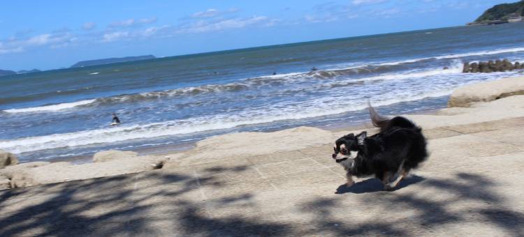汪洋海上风情度假村(Sea Style Resort Ocean)图片