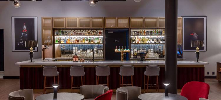奥斯陆丽笙酒店及会议中心(Radisson Hotel & Conference Centre Oslo Airport)图片