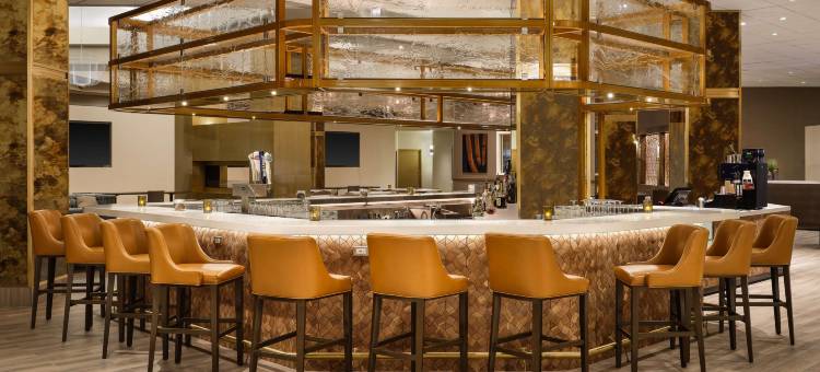 达拉斯理查森希尔顿酒店(Hilton Richardson Dallas)图片