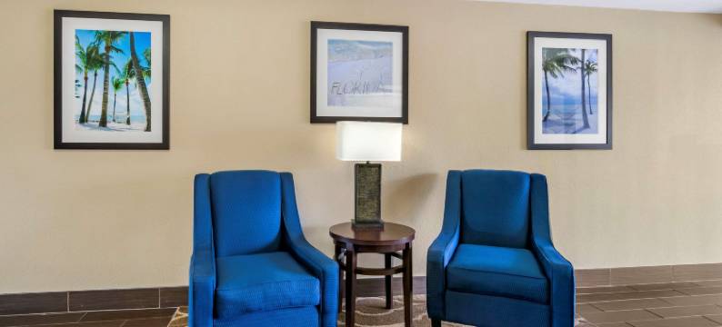 舒适酒店及套房-圣彼得堡-克利尔沃特国际机场(Comfort Inn & Suites St Pete - Clearwater International Airport)图片