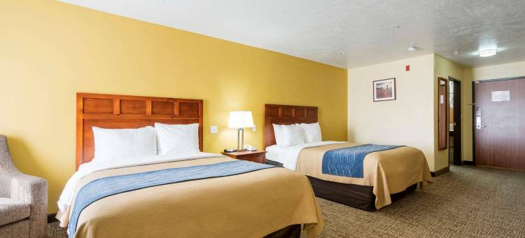 舒适套房(Comfort Inn & Suites)图片