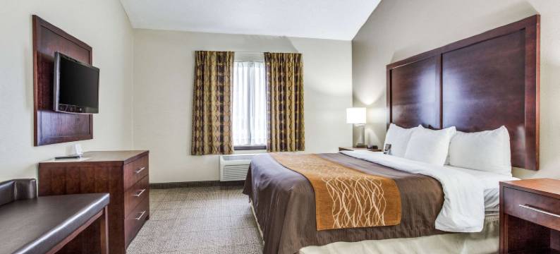 舒适酒店及套房-达拉斯市场中心(Comfort Inn & Suites Love Field-Dallas Market Center)图片